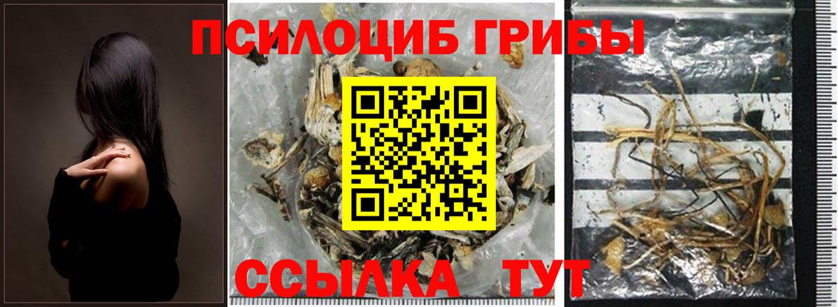 Галлюциногенные грибы Cubensis Красноармейск